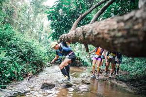 BIB: 
                            <button type="button" onclick="openModal(25374817)" class="btn btn-primary btn-sm float-right btn-popup" data-toggle="modal" data-target=".modal-high-quality">
                        <i class="fas fa-shopping-cart"></i> Add to Cart
                    </button>
                                            <button type="button" onclick="isThisMe(25374817, true)" class="btn btn-success btn-sm float-right btn-popup btn-isme hidden" data-toggle="tooltip" data-placement="bottom" title="นี่คือรูปของคุณใช่ไหม คลิกที่นี่เพื่อเอาเข้าอัลบั้ม">
                        <i class="fas fa-plus"></i> Add to album
                    </button>
                    <button type="button" onclick="isThisMe(25374817, false)" class="btn btn-warning btn-sm float-right btn-popup btn-isnotme hidden">
                        <i class="fas fa-ban"></i> Remove from album
                    </button>